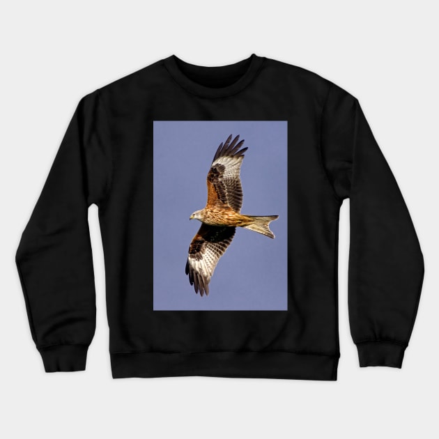 Soaring Red Kite Crewneck Sweatshirt by MartynUK